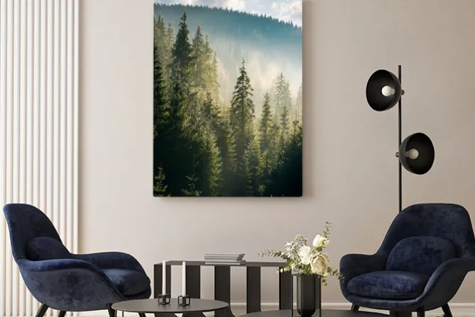 Obraz: Las świerkowy na wzgórzu w porannej mgle. piękne krajobrazy przyrody
