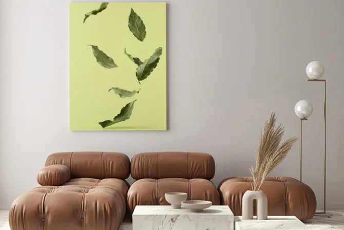 Obraz: Levitating laurel leaves on a green background