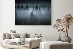 Obraz: Mglisty krajobraz las iglasty