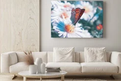 Obraz: Motyl na kwiat