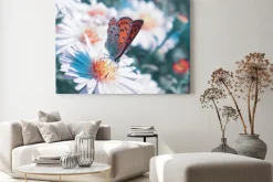 Obraz: Motyl na kwiat