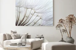 Obraz: Nasiona dmuchawca w dużym zbliżeniu