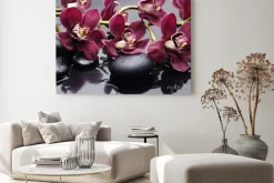 Obraz: Oddział terapii czerwony orchidea z kamieni