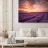 Obraz: Oszałamiający krajobraz z lawendowego pola na zachodzie słońca