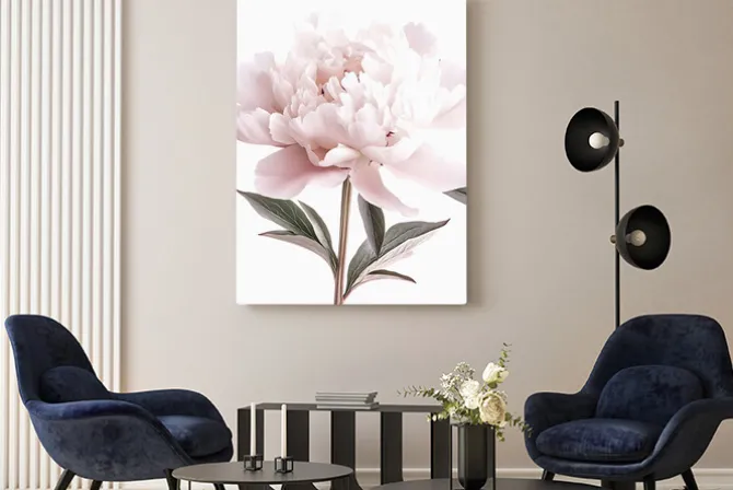 Obraz: Pastelowa piwonia romantyczny kwiat