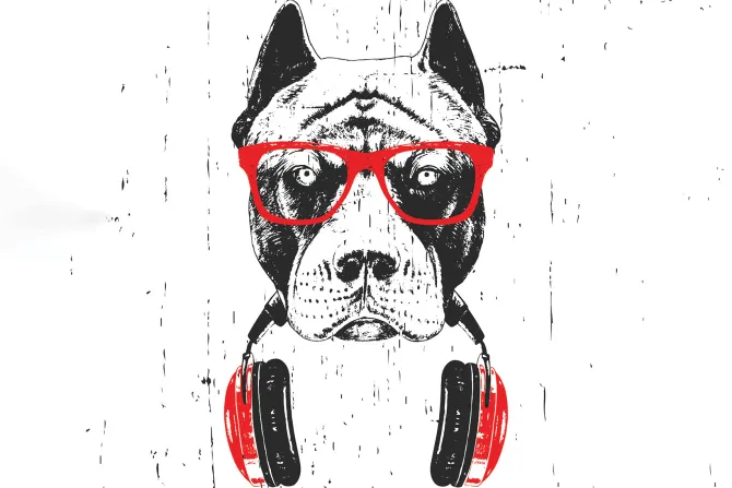 Obraz: Pies w okularach przeciwsłonecznych z słuchawkami
