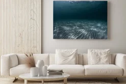 Obraz: Pofałdowane dno morskie