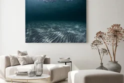 Obraz: Pofałdowane dno morskie