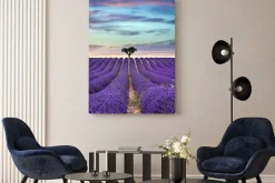 Obraz: Pola lawendy z drzewem