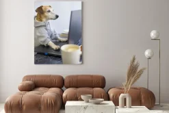 Obraz: Programmer dog coding with laptop. working process comfortable