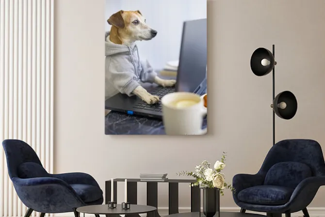 Obraz: Programmer dog coding with laptop. working process comfortable