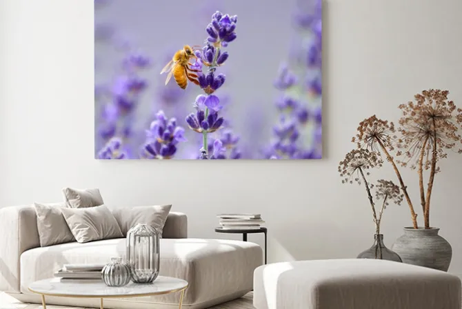 Obraz: Pszczoły