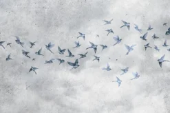 Obraz: Ptaki na betonowym tle w stylu loft
