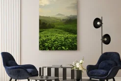 Obraz: Punkt widzenia na szczycie cameron highland, doliny herbaty i