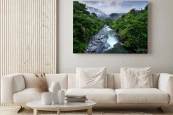 Obraz: River with big stones and trees, tropic mountain forest during