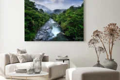 Obraz: River with big stones and trees, tropic mountain forest during