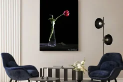 Obraz: Samotny tulipan