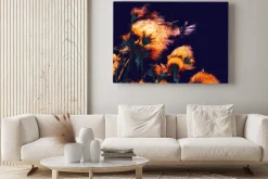 Obraz: Silhouettes of bright fuzzy dry flowers and flying seeds on dark