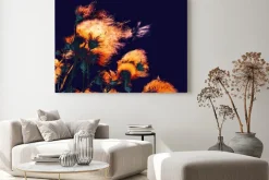 Obraz: Silhouettes of bright fuzzy dry flowers and flying seeds on dark