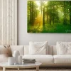 Obraz: Słońce wpadające do lasu