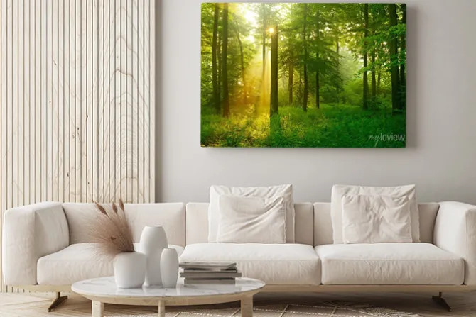 Obraz: Słońce wpadające do lasu