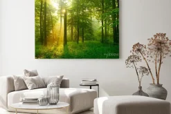 Obraz: Słońce wpadające do lasu