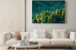 Obraz: Słoneczne wzgórze z drzewami