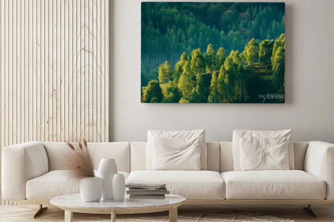 Obraz: Słoneczne wzgórze z drzewami