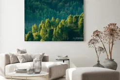 Obraz: Słoneczne wzgórze z drzewami