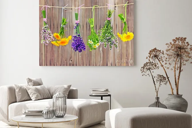 Obraz: Suszące się polne kwiaty