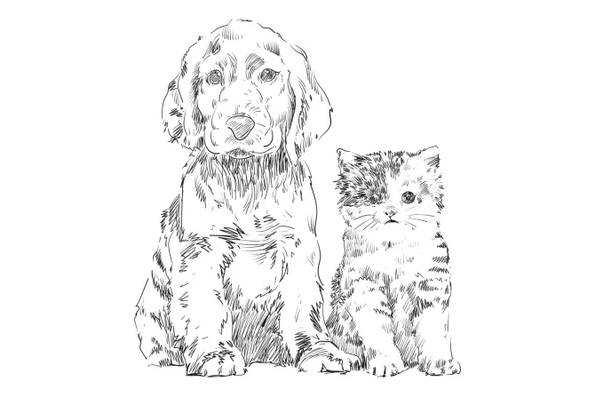 Obraz: Szkicowany rysunek psa i kota