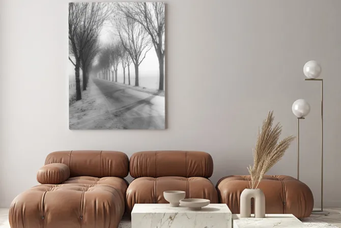 Obraz: Tall nagie drzewa oprócz drogowych w zimie