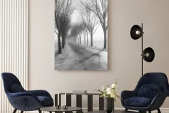 Obraz: Tall nagie drzewa oprócz drogowych w zimie