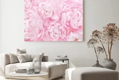 Obraz: Tło z różowych piwonii