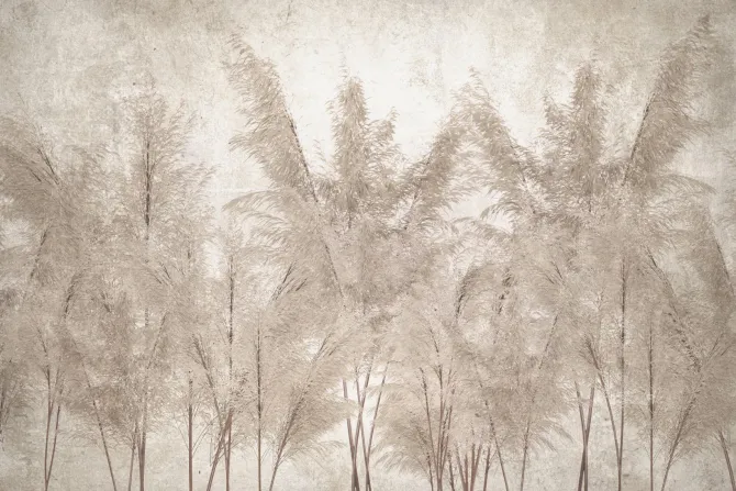 Obraz: Trawy pampasowe na beżowym tle