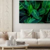 Obraz: Tropical banana leaf concept, natural green banana leaf, green