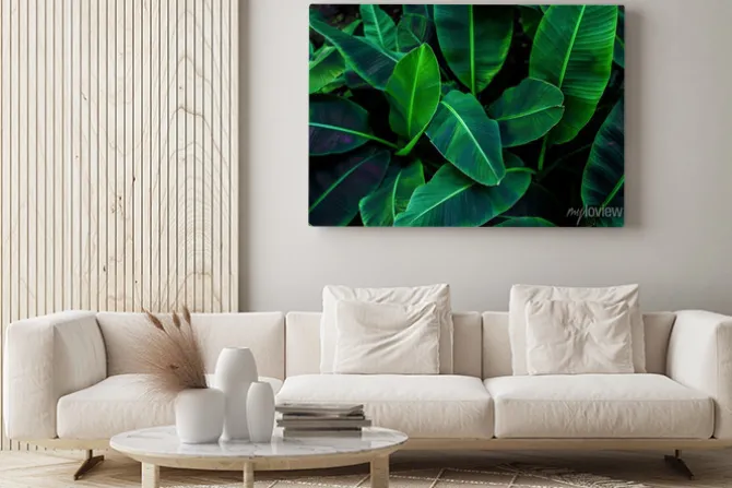 Obraz: Tropical banana leaf concept, natural green banana leaf, green
