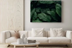 Obraz: Tropikalne ciemnozielone zarośla