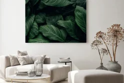 Obraz: Tropikalne ciemnozielone zarośla