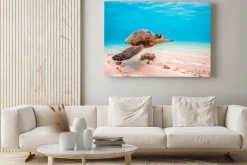 Obraz: Żółw morski w głębinie