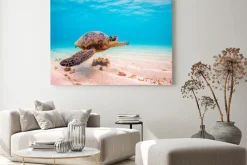 Obraz: Żółw morski w głębinie