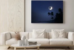 Obraz: Światło księżyca