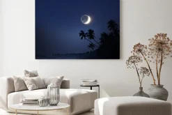 Obraz: Światło księżyca