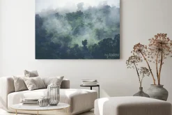 Obraz: Widok przyrody lasu tropikalnego, vintage filtr obrazu