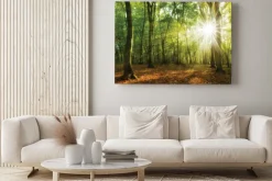 Obraz: Wschód słońca w lesie promienie światła wśród drzew