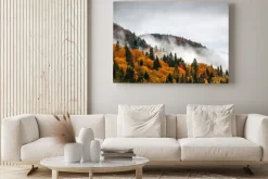 Obraz: Wspaniały kolorowy dzień jesieni w parku rzeki jacquesa cartiera,