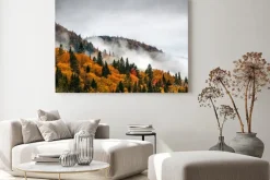 Obraz: Wspaniały kolorowy dzień jesieni w parku rzeki jacquesa cartiera,