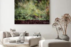 Obraz: Young plant growing from soil with chemical formula screen, ecology