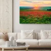Obraz: Zachód słońca nad łąką pełną maków