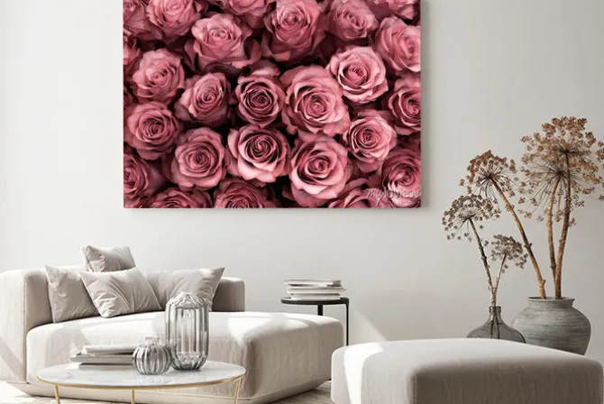 Obraz: Zbliżenie na różowe róże